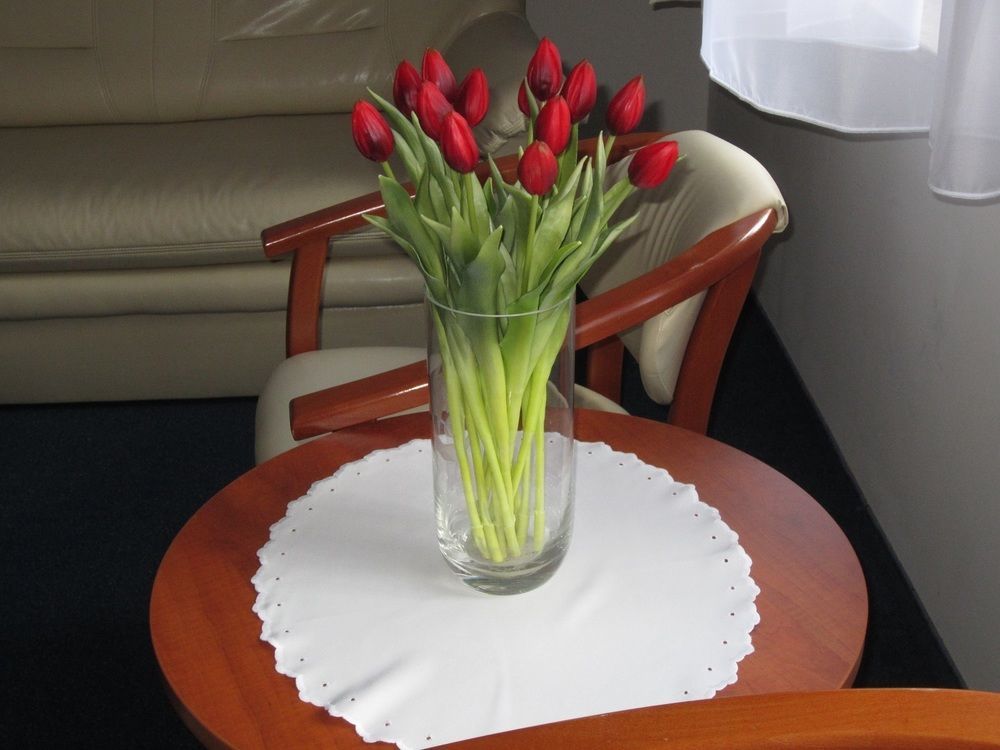 Hotel Jaworzyna Krynicka Krynica Zdroj Dış mekan fotoğraf