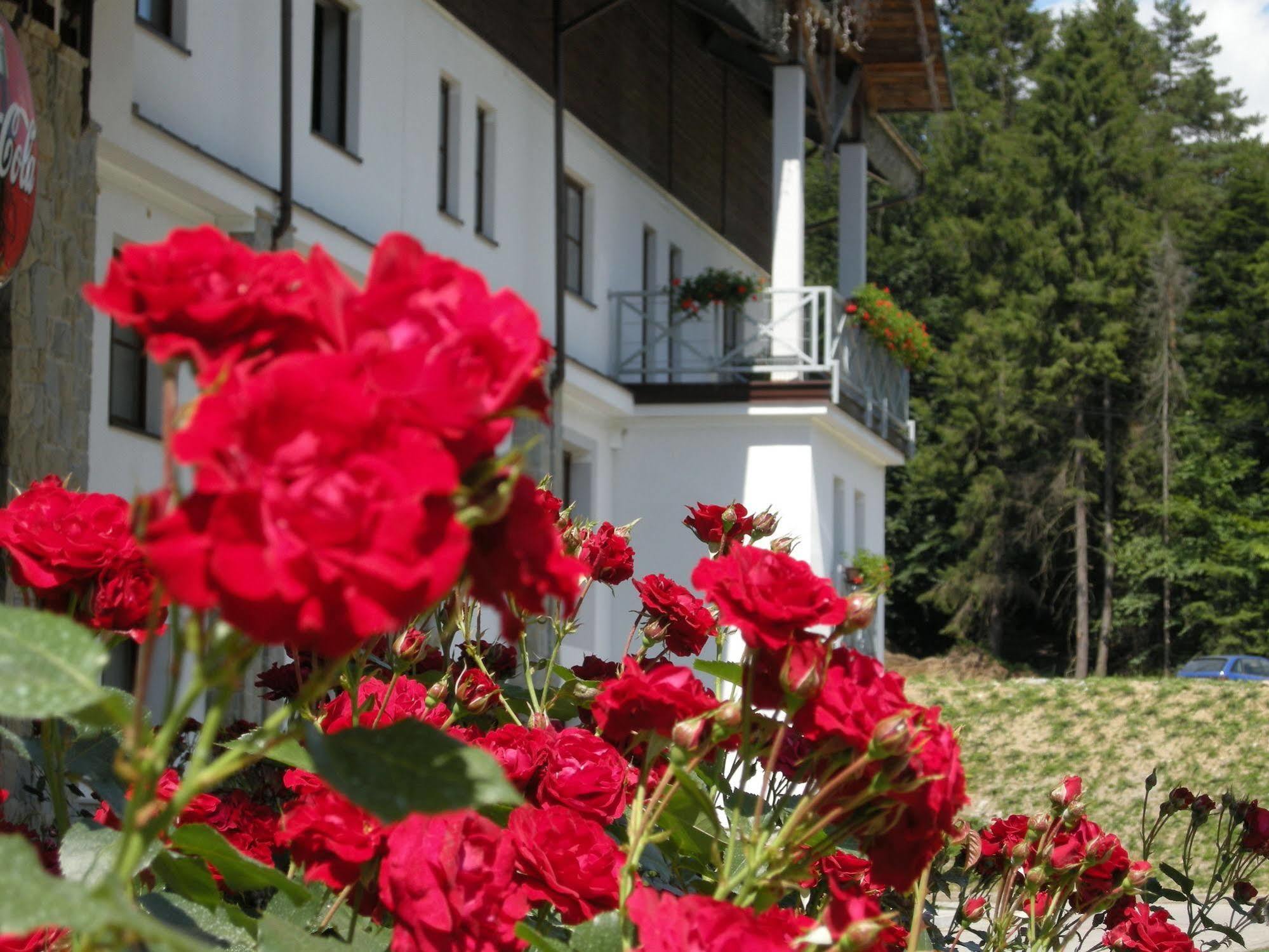 Hotel Jaworzyna Krynicka Krynica Zdroj Dış mekan fotoğraf